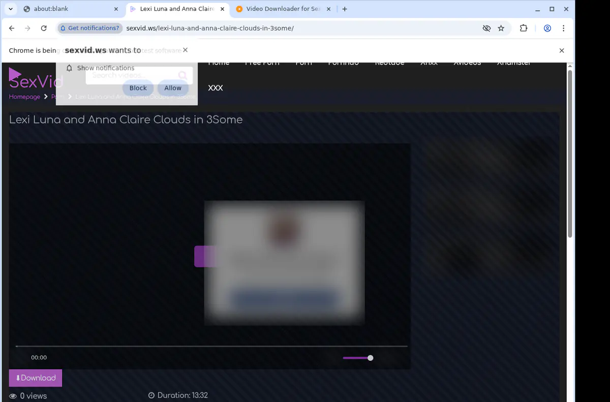 Sexvid Video Downloader screenshot 2