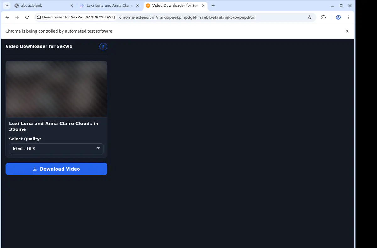 Sexvid Video Downloader screenshot 4