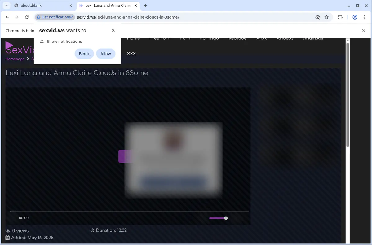 Sexvid Video Downloader screenshot 5